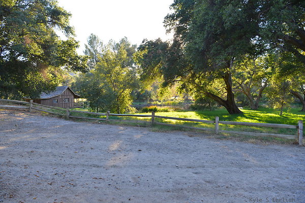 DSC 7774