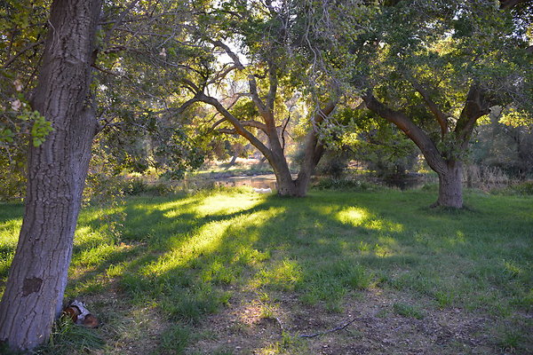 DSC 7689