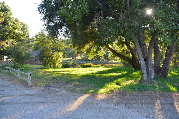 DSC 7802