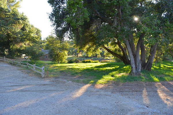 DSC 7801