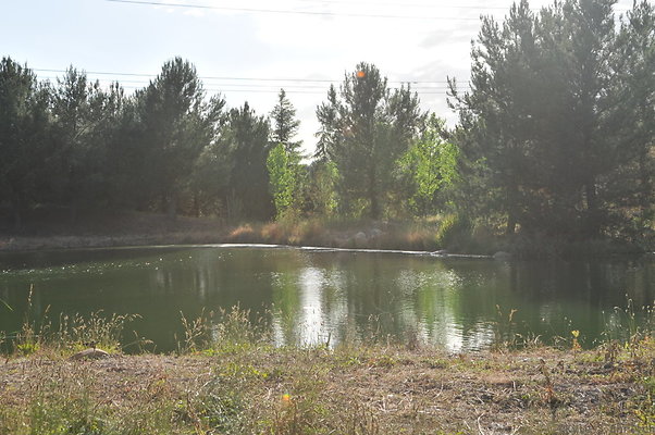DSC 6081