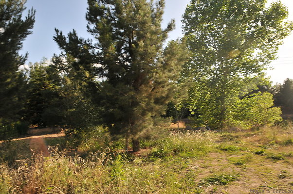 DSC 6057