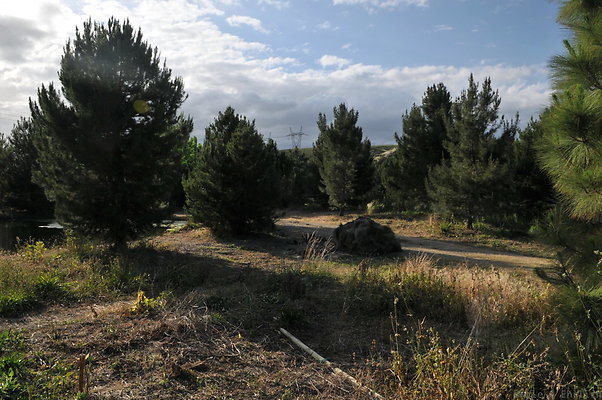 DSC 6078