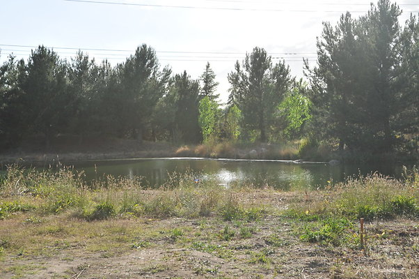 DSC 6075