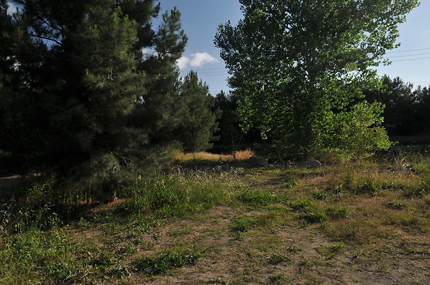 DSC 6076