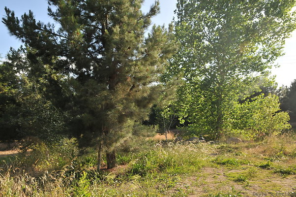 DSC 6064