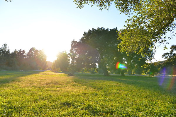 DSC 8220