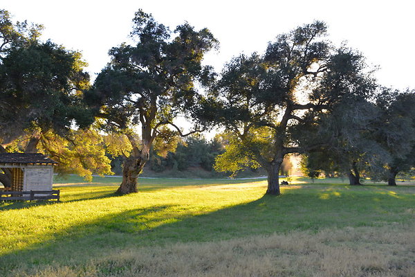 DSC 8179