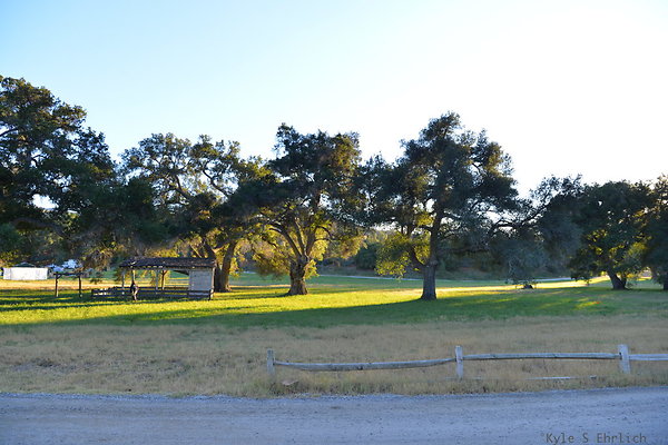 DSC 8194