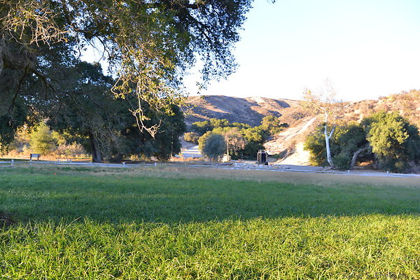 DSC 8222