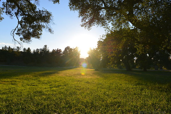 DSC 8215