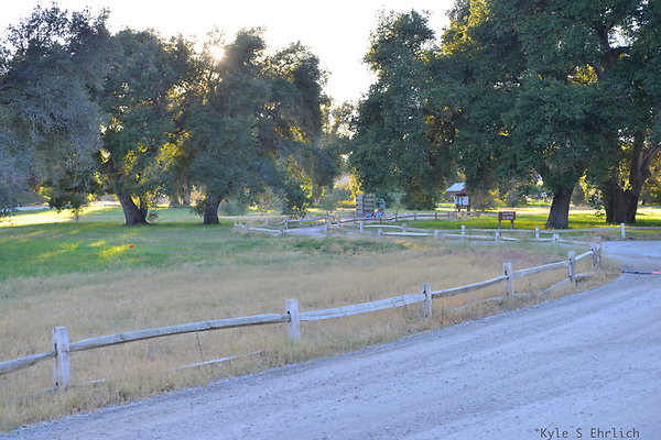 DSC 8186