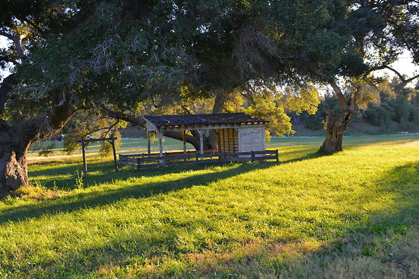 DSC 8181