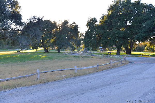 DSC 8185
