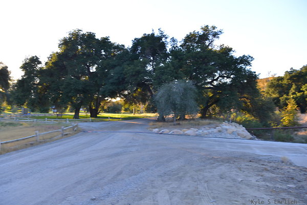 DSC 8189
