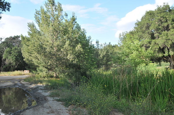 DSC 6006