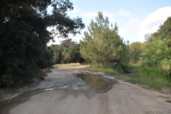 DSC 6000