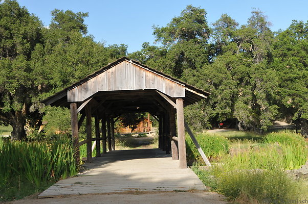 DSC 5996