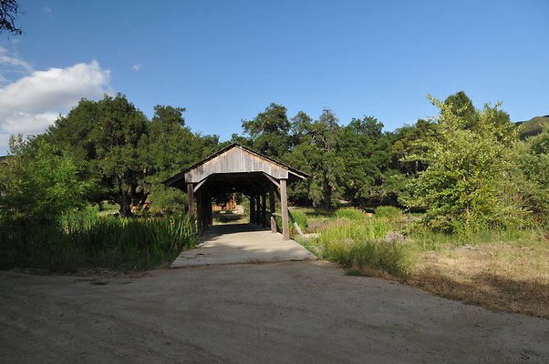 DSC 5994