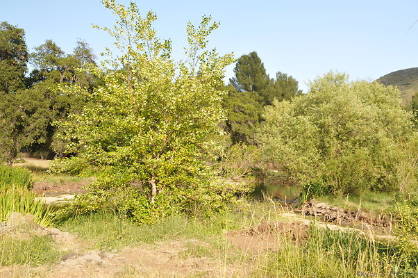 DSC 6032