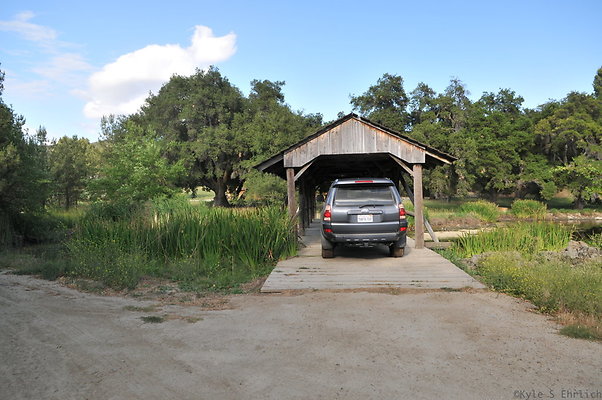 DSC 5998