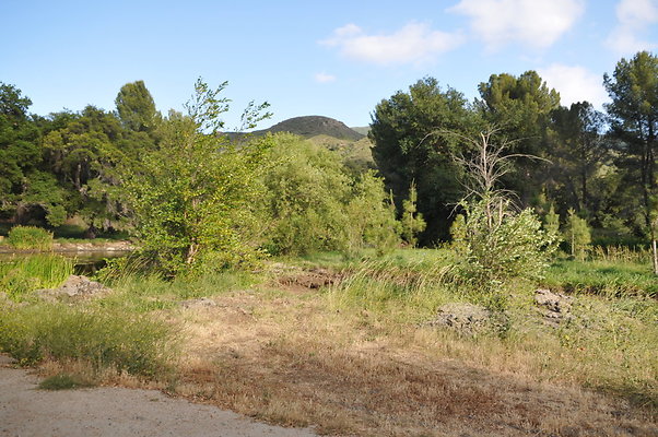DSC 6002
