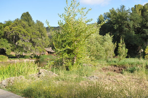 DSC 6008