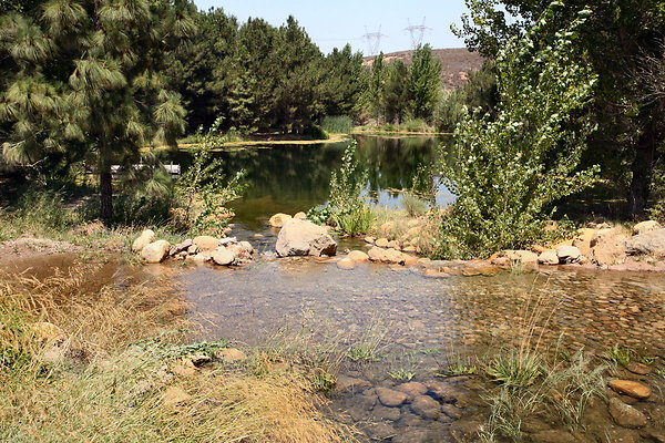 DSC 0028