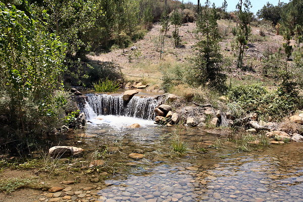 DSC 0022