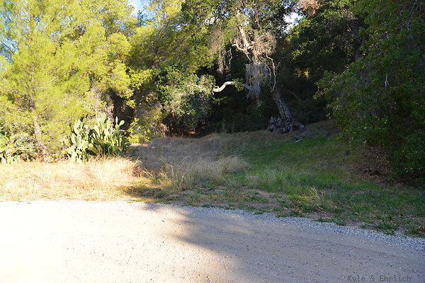 DSC 7508