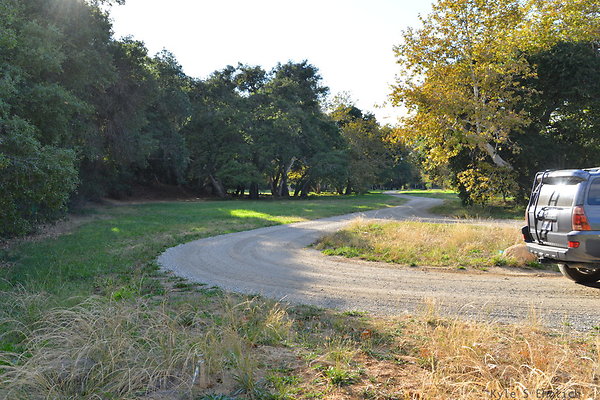 DSC 7493