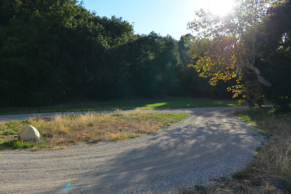 DSC 7489