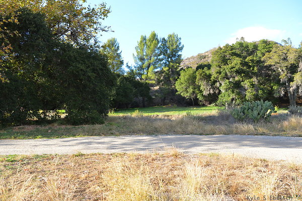 DSC 7505
