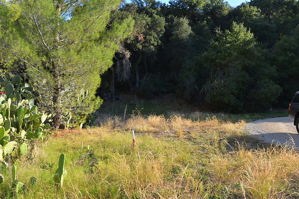 DSC 7499