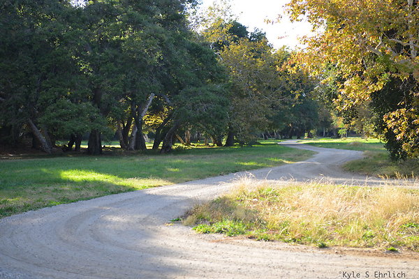 DSC 7495