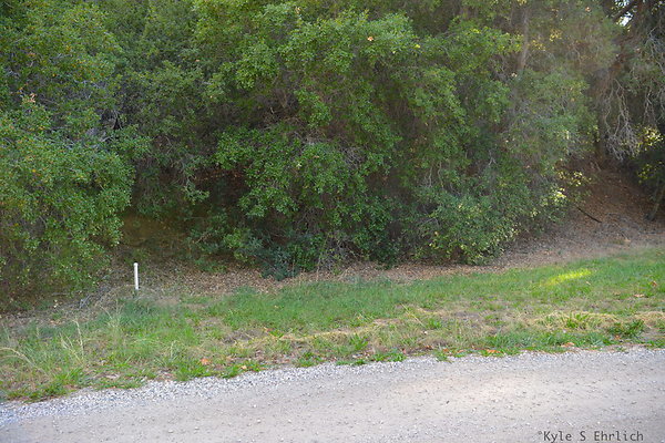 DSC 7510