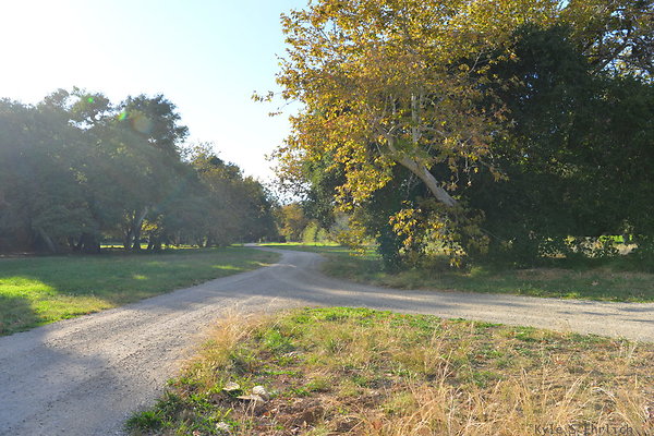 DSC 7504
