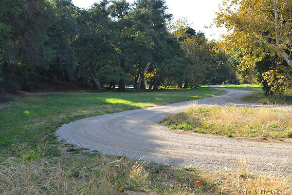 DSC 7494