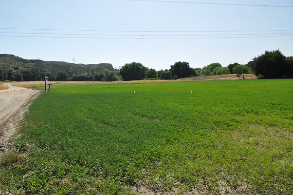 DSC 0805