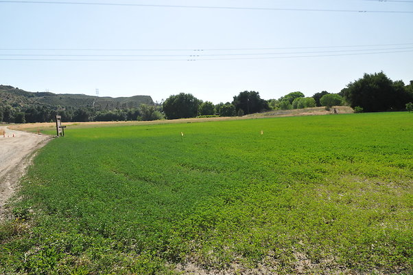 DSC 0801