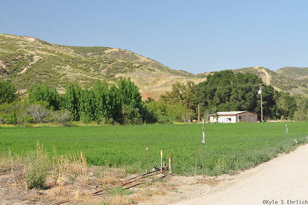DSC 0797