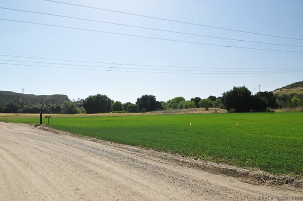 DSC 0798