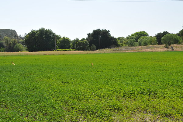DSC 0809