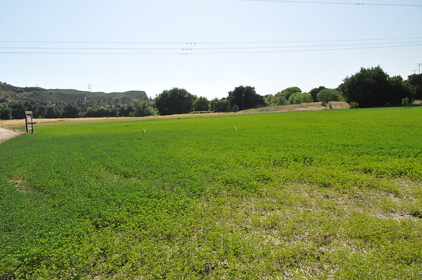 DSC 0808