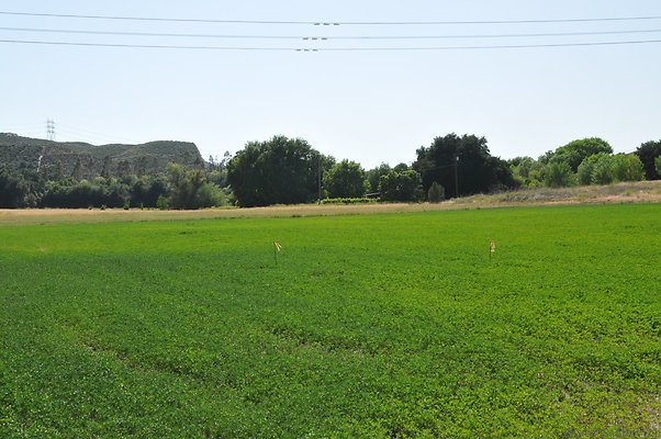 DSC 0802