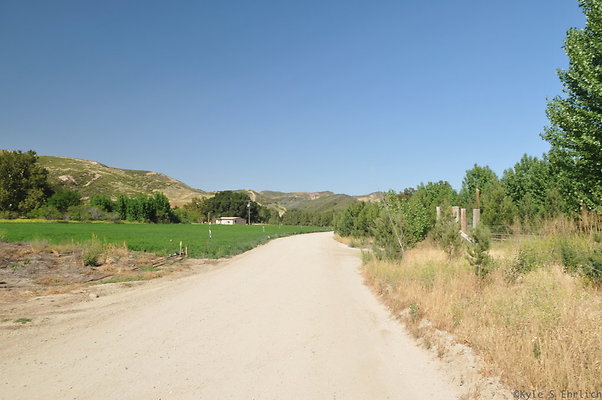 DSC 0800
