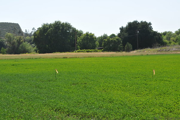 DSC 0803