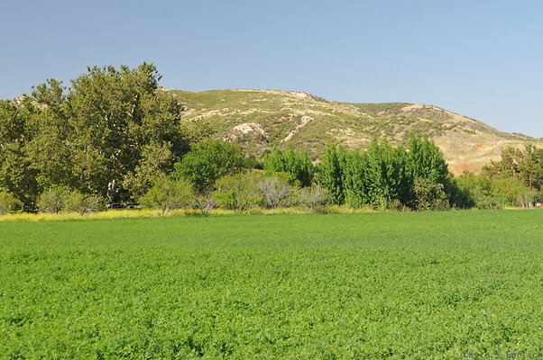 DSC 0791
