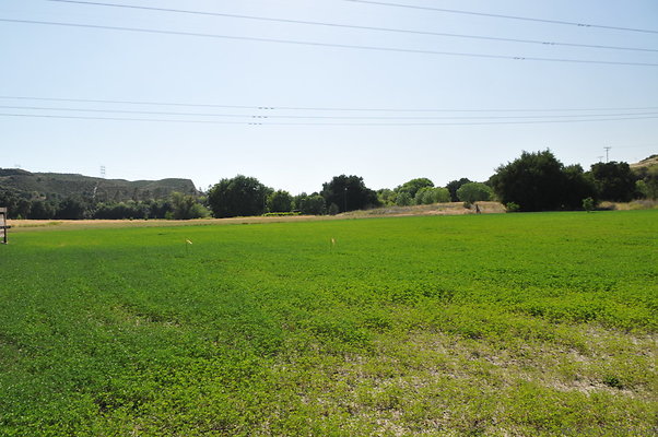 DSC 0811