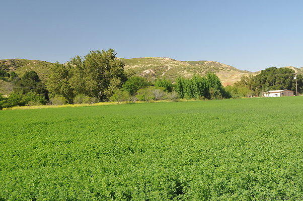 DSC 0790